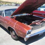 WCMC show 2008 116