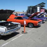 WCMC show 2008 117