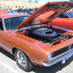 WCMC show 2008 118
