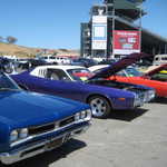 WCMC show 2008 123