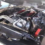 WCMC show 2008 148