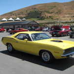 WCMC show 2008 164