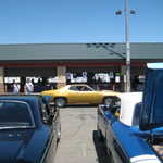 WCMC show 2008 166