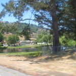We made it to the Marin Cheese Factory