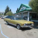 Cheese Factory cruise and BBQ. 2008 076