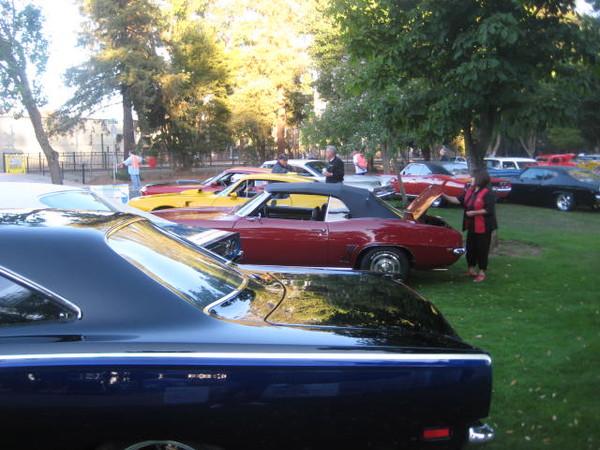 Cars in the Park 2008 001