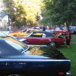 Cars in the Park 2008 001