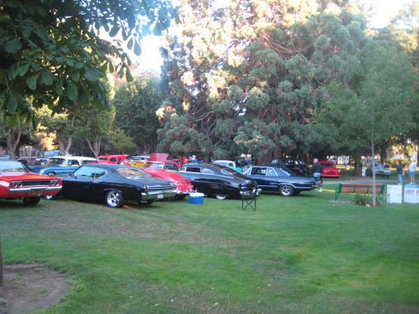 Cars in the Park 2008 003