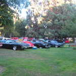 Cars in the Park 2008 003