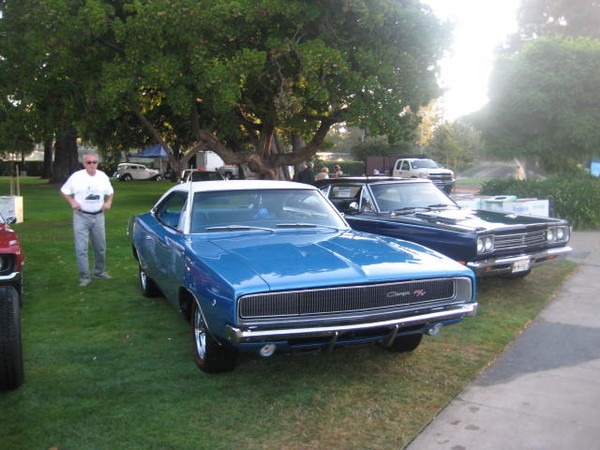 Cars in the Park 2008 008