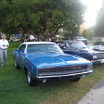 Cars in the Park 2008 008