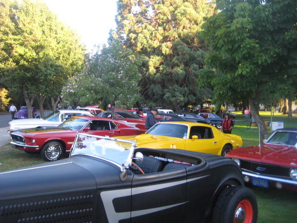 Cars in the Park 2008 009