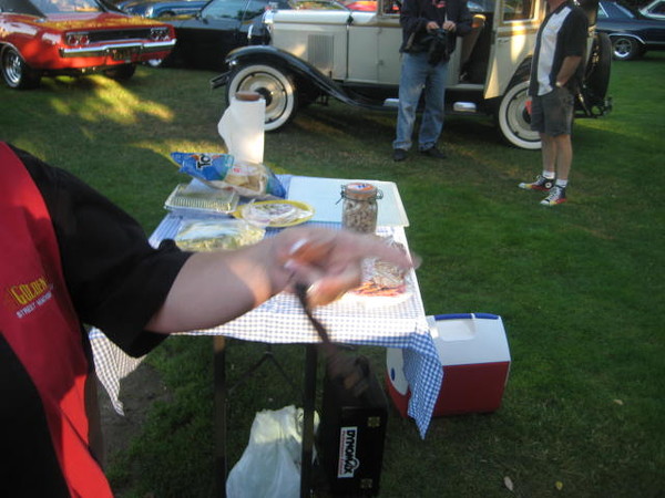 Cars in the Park 2008 010