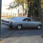 Cars in the Park 2008 013