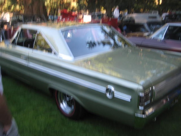 Cars in the Park 2008 027