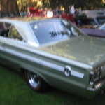Cars in the Park 2008 027