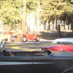 Cars in the Park 2008 030