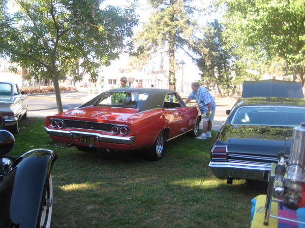 Cars in the Park 2008 043