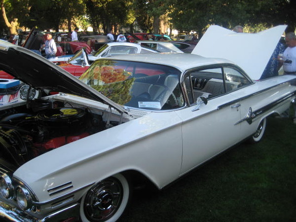 Cars in the Park 2008 045