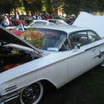 Cars in the Park 2008 045