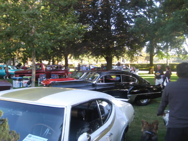 Cars in the Park 2008 046