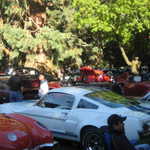 Cars in the Park 2008 047