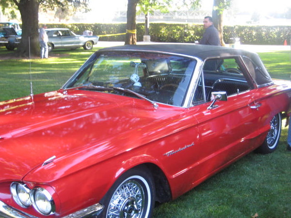 Cars in the Park 2008 050