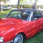 Cars in the Park 2008 050