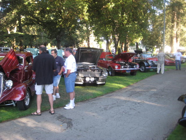 Cars in the Park 2008 054