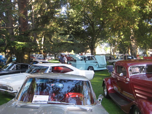 Cars in the Park 2008 056