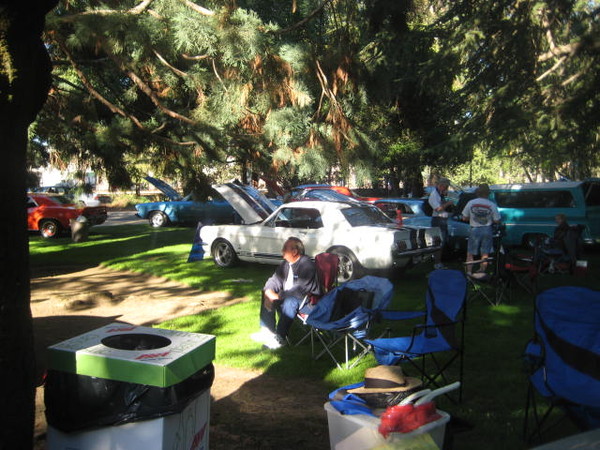Cars in the Park 2008 057