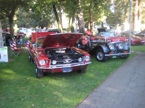 Cars in the Park 2008 058