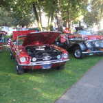 Cars in the Park 2008 058
