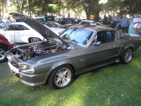 Cars in the Park 2008 059