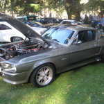Cars in the Park 2008 059