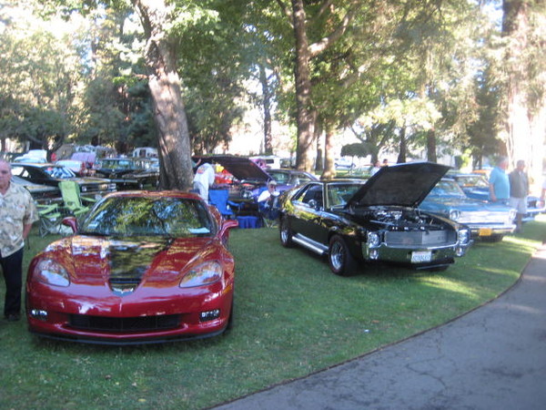 Cars in the Park 2008 064