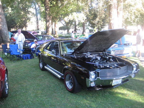 Cars in the Park 2008 065