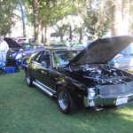 Cars in the Park 2008 065