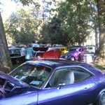 Cars in the Park 2008 067