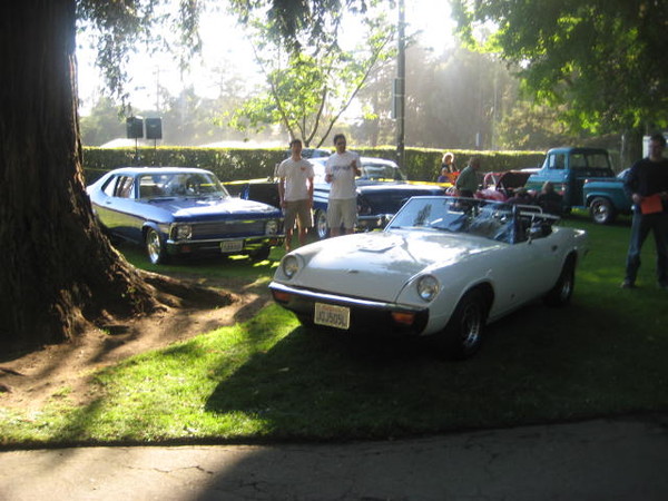 Cars in the Park 2008 069