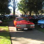 Cars in the Park 2008 071