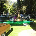 Cars in the Park 2008 073