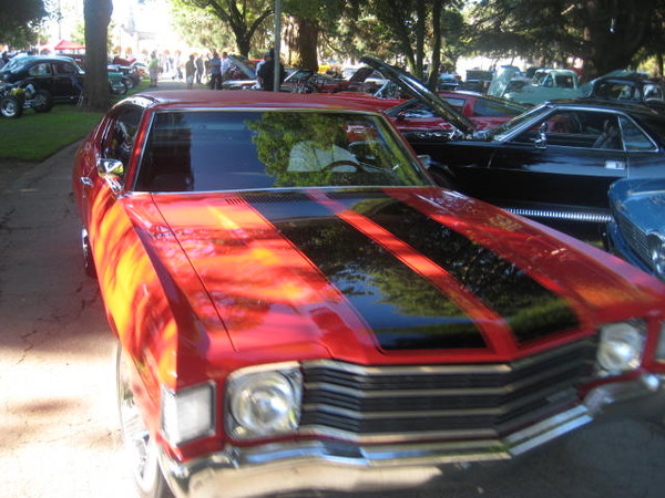 Cars in the Park 2008 074