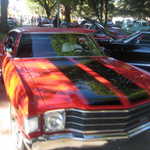 Cars in the Park 2008 074