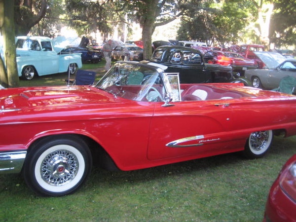 Cars in the Park 2008 075