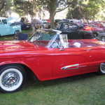 Cars in the Park 2008 075