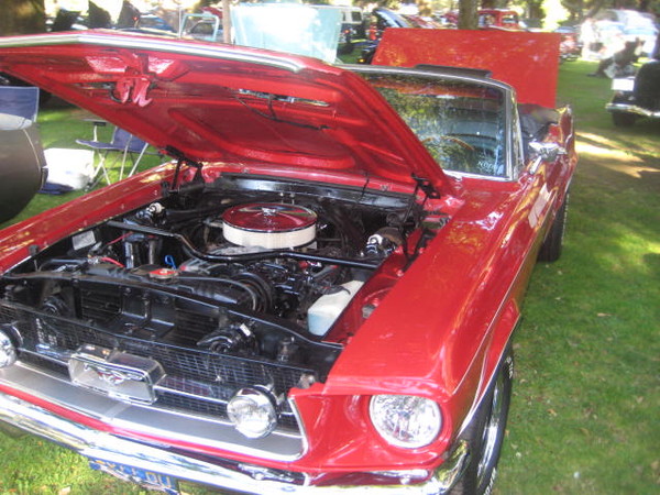 Cars in the Park 2008 076