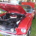 Cars in the Park 2008 076