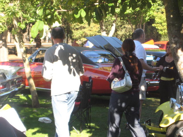 Cars in the Park 2008 086