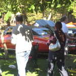 Cars in the Park 2008 086